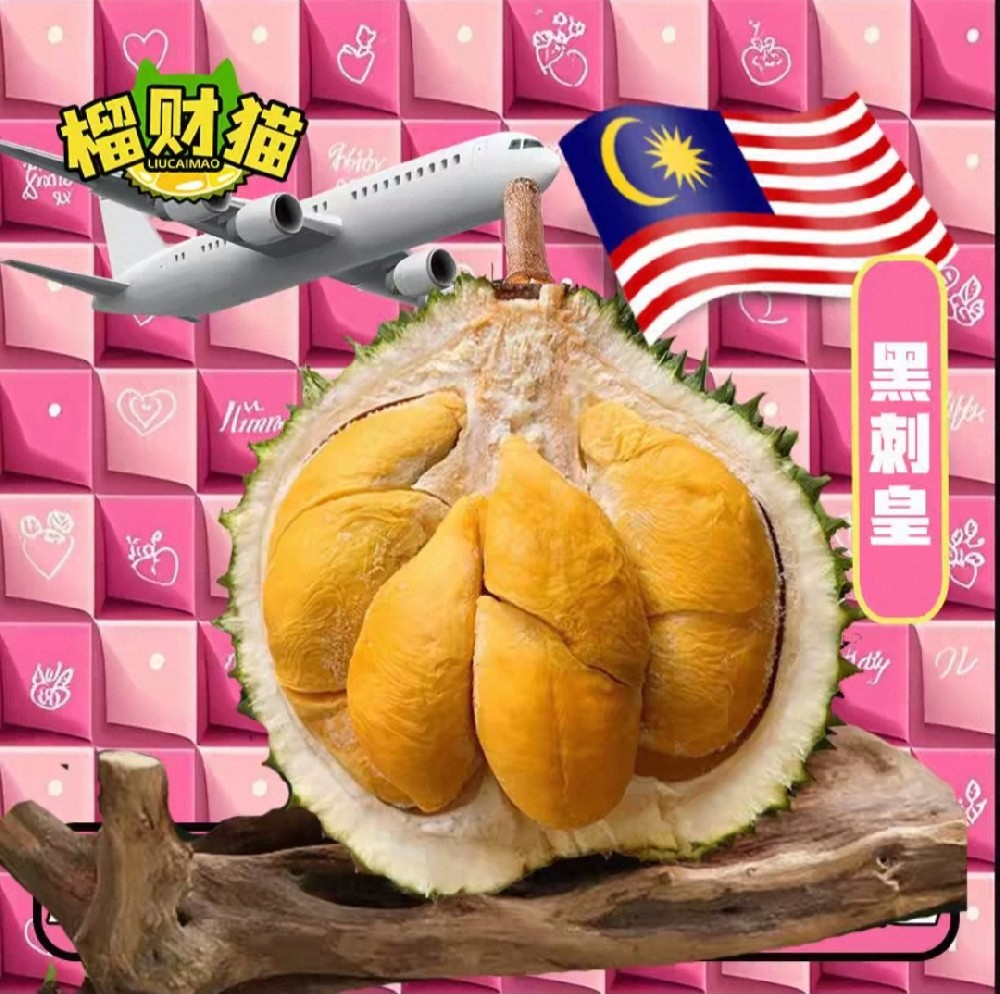 榴财猫官网