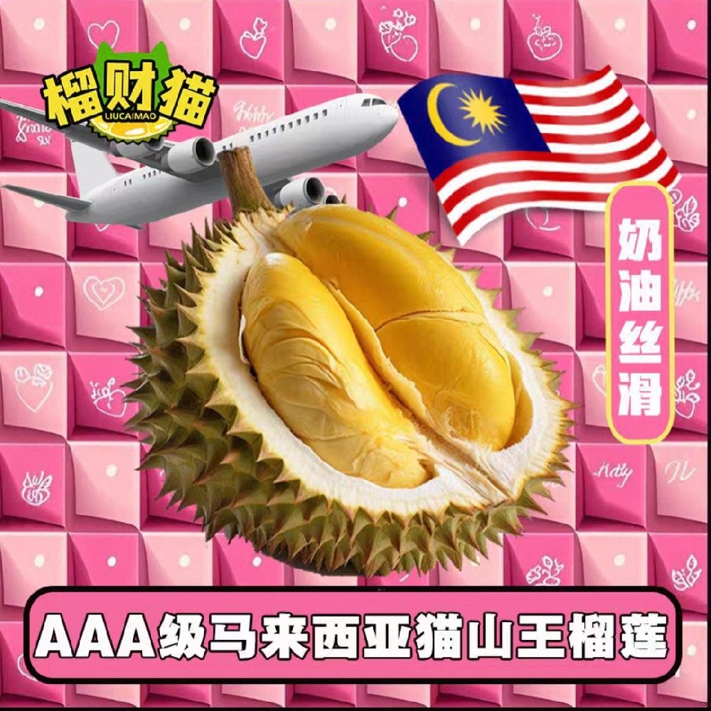 榴财猫官网